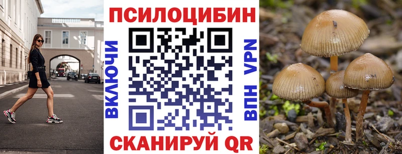 Псилоцибиновые грибы MAGIC MUSHROOMS  Купить  Алдан